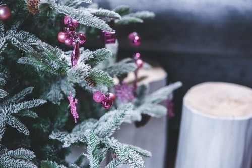 Gartenarbeit im Winter